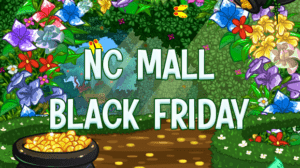 Read more about the article NC MALL BLACK FRIDAY!