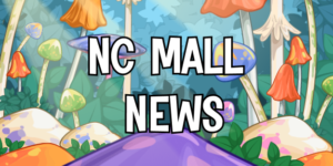 Read more about the article NC Mall News: 16th Wonderland Birthday Wish Candle