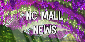 Read more about the article NC Mall News: Blumaroll Retired Mystery Capsule 2023